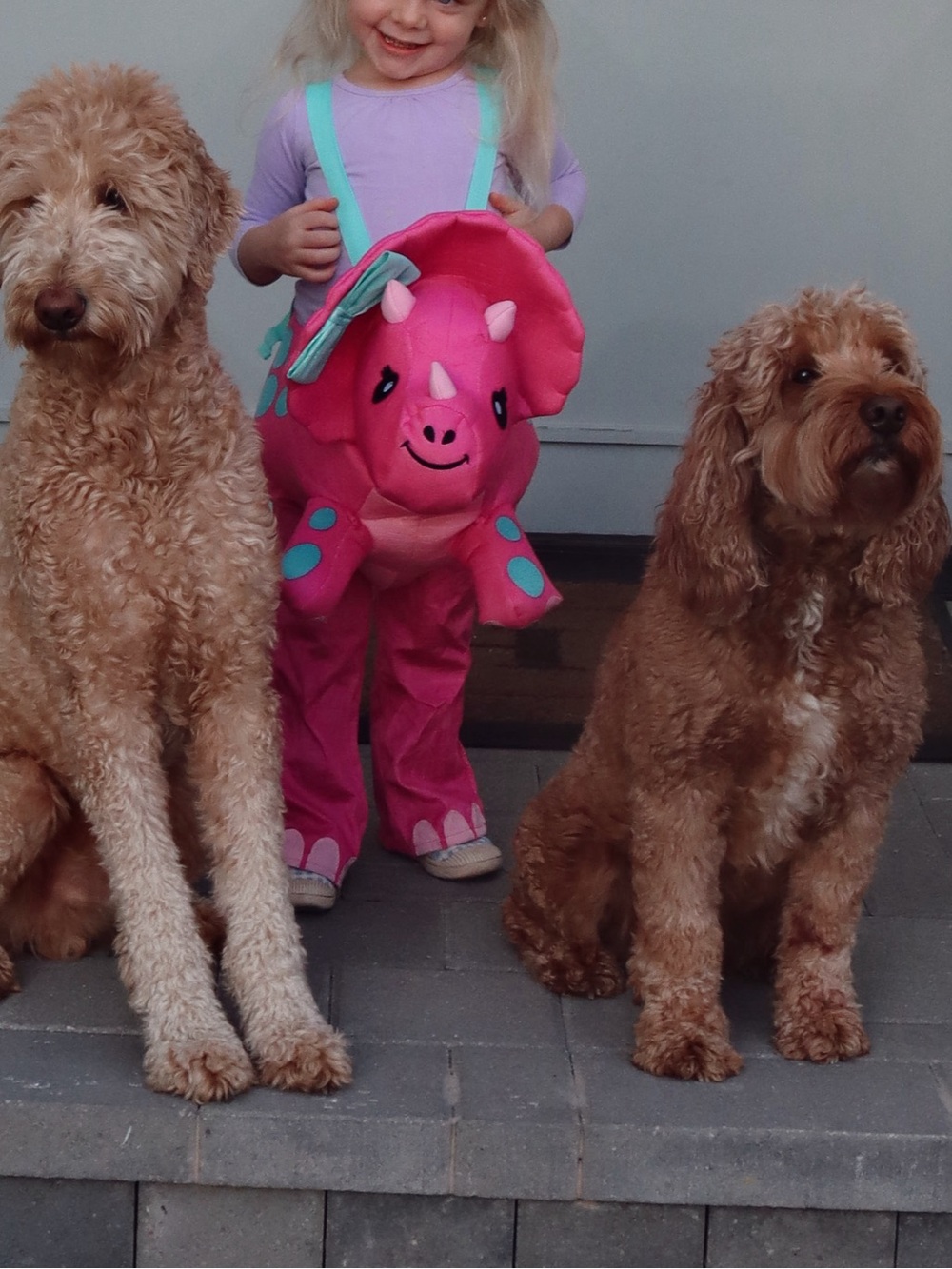 Pink Plush Dog Toy Carrier - 2-in-1 Pet Play Carrier